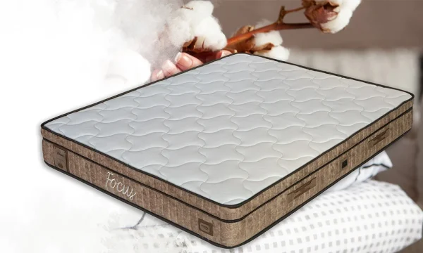 Henin Focus Baza Ve Başlık Seti - Görsel 3