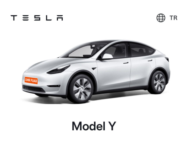 Model Y